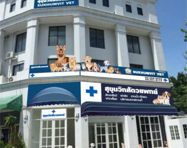 Sukhumvit Veterinarians - At Sukhumvit